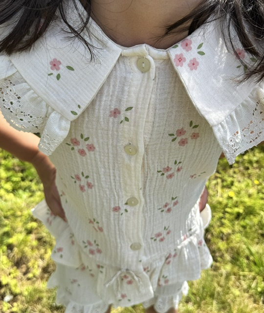 Ensemble Lilly