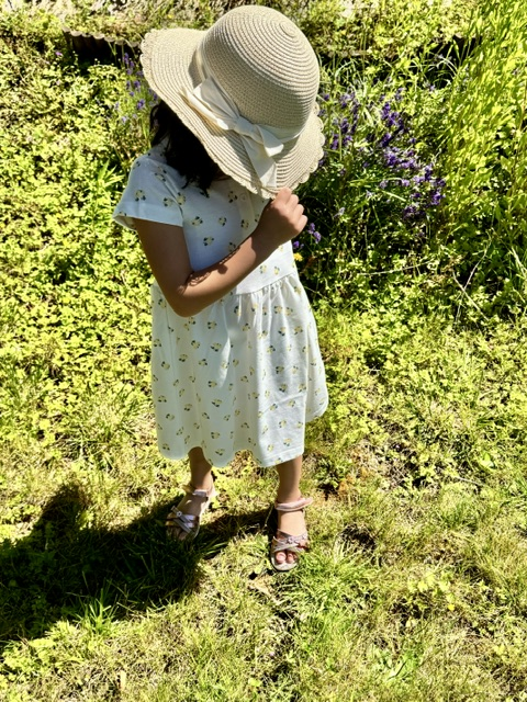 Robe Héloîse