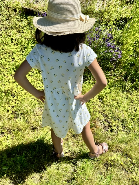 Robe Héloîse